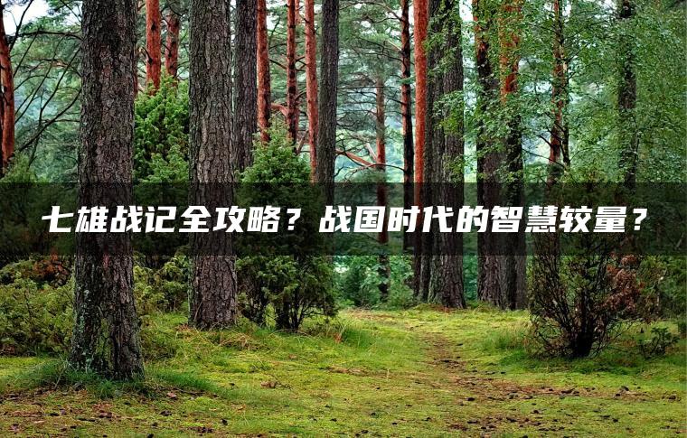 七雄战记全攻略？战国时代的智慧较量？