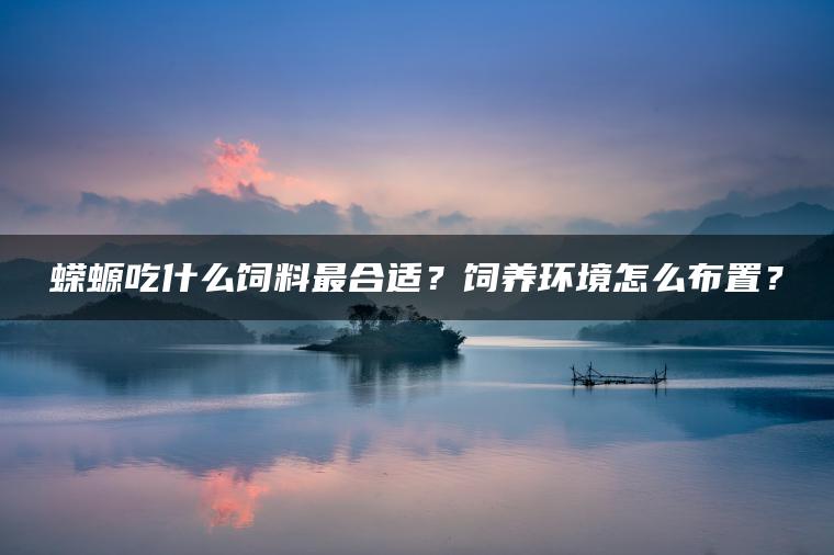 蝾螈吃什么饲料最合适？饲养环境怎么布置？