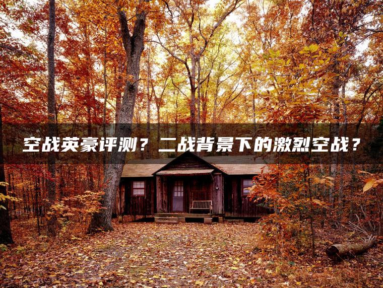 空战英豪评测？二战背景下的激烈空战？