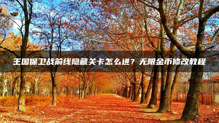 王国保卫战前线隐藏关卡怎么进？无限金币修改教程