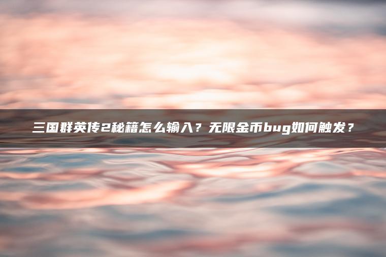 三国群英传2秘籍怎么输入？无限金币bug如何触发？