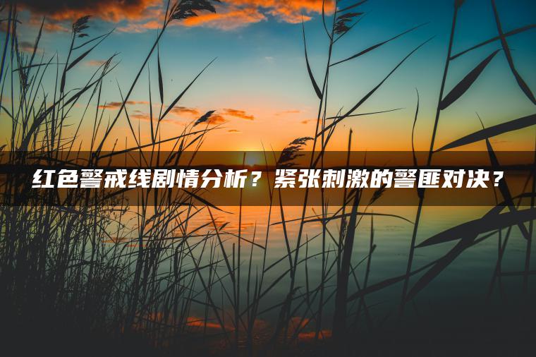 红色警戒线剧情分析？紧张刺激的警匪对决？