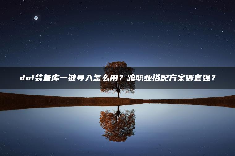dnf装备库一键导入怎么用？跨职业搭配方案哪套强？