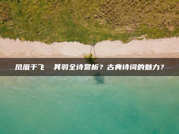 凤凰于飞翙翙其羽全诗赏析？古典诗词的魅力？