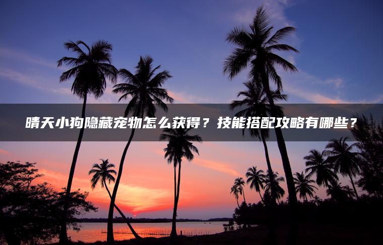 晴天小狗隐藏宠物怎么获得？技能搭配攻略有哪些？