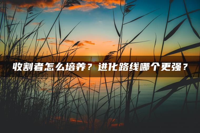 收割者怎么培养？进化路线哪个更强？