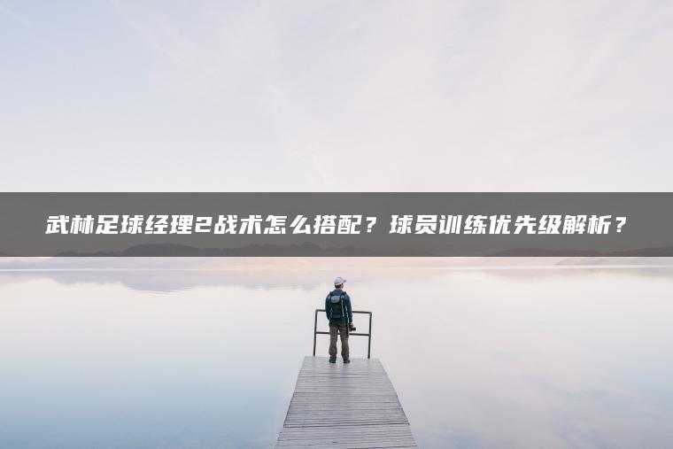 武林足球经理2战术怎么搭配？球员训练优先级解析？