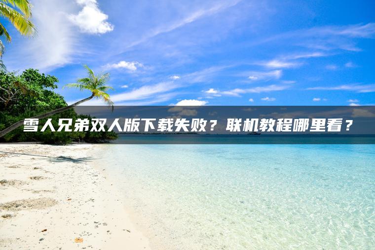 雪人兄弟双人版下载失败？联机教程哪里看？