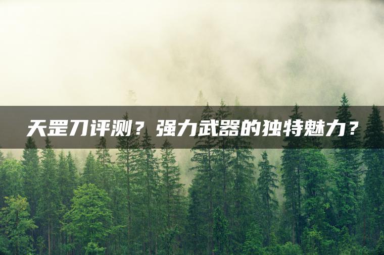 天罡刀评测？强力武器的独特魅力？