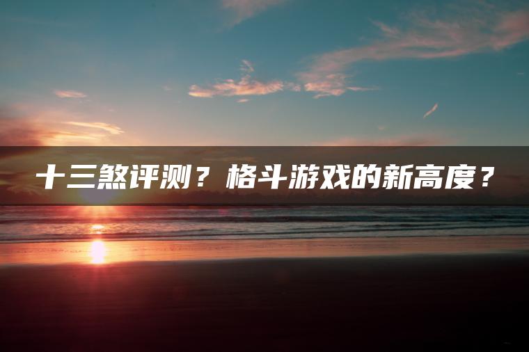 十三煞评测？格斗游戏的新高度？