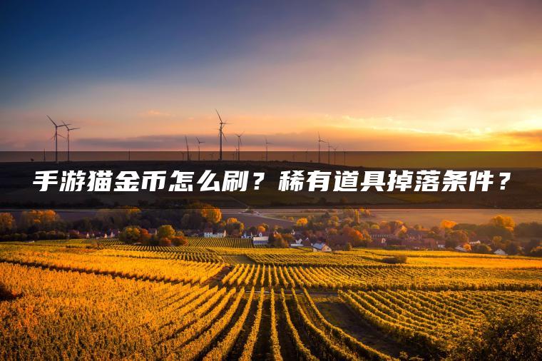 手游猫金币怎么刷？稀有道具掉落条件？