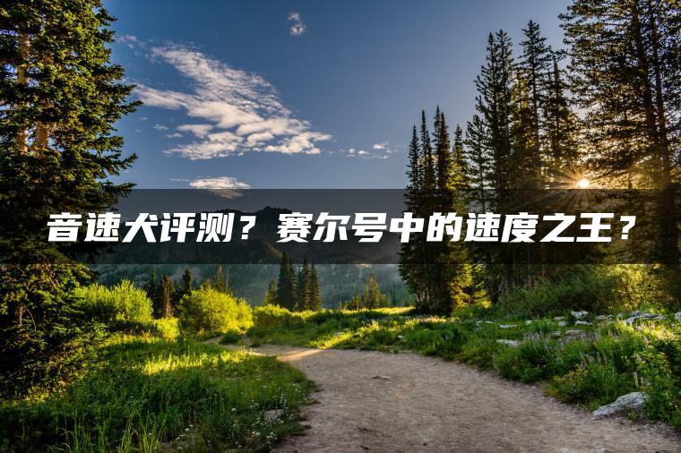 音速犬评测？赛尔号中的速度之王？