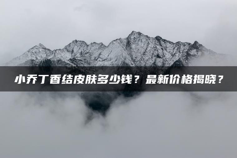 小乔丁香结皮肤多少钱？最新价格揭晓？