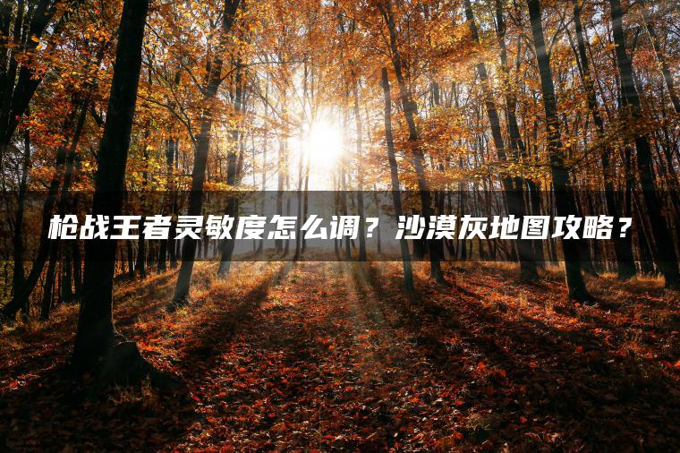 枪战王者灵敏度怎么调？沙漠灰地图攻略？