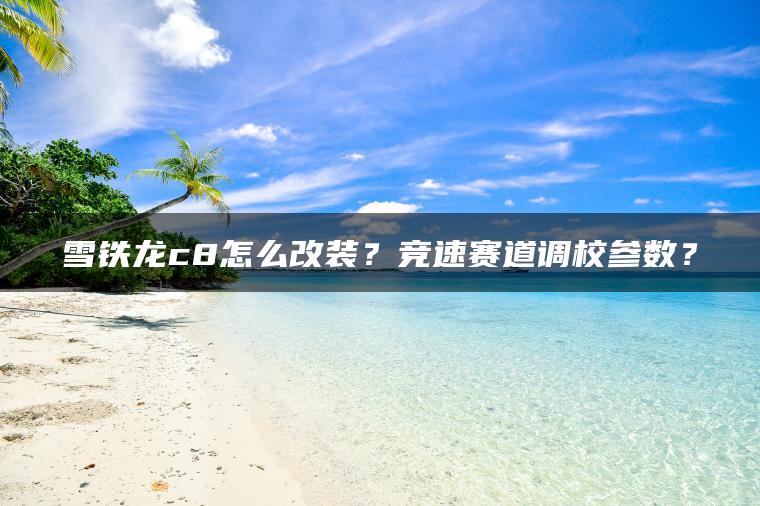 雪铁龙c8怎么改装？竞速赛道调校参数？