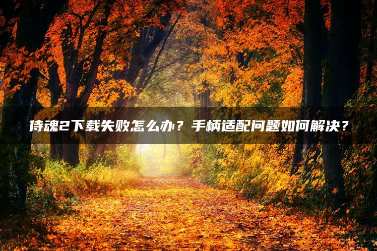侍魂2下载失败怎么办？手柄适配问题如何解决？
