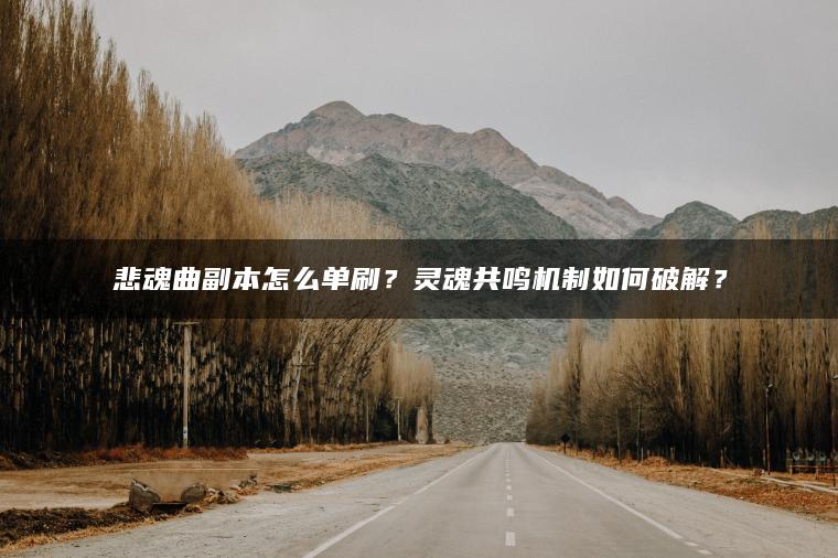 ​​悲魂曲副本怎么单刷？灵魂共鸣机制如何破解？​​