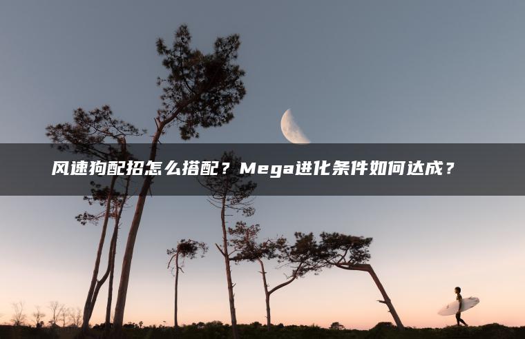 风速狗配招怎么搭配？Mega进化条件如何达成？​​