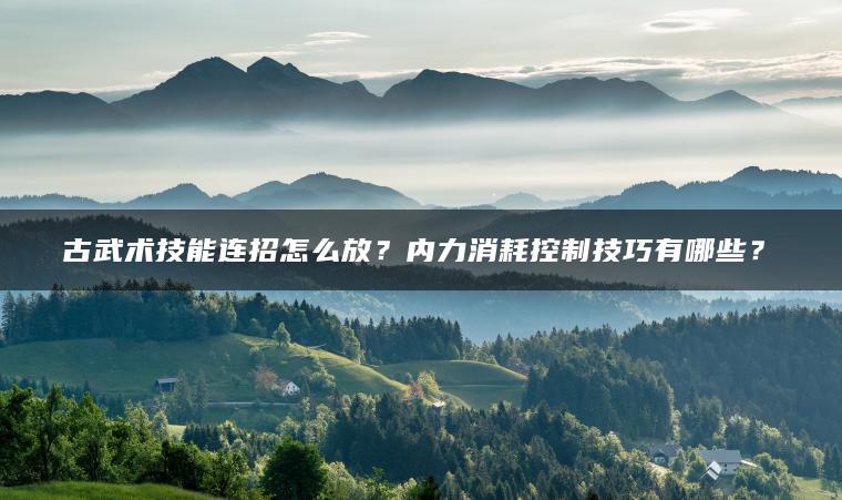 古武术技能连招怎么放？内力消耗控制技巧有哪些？​