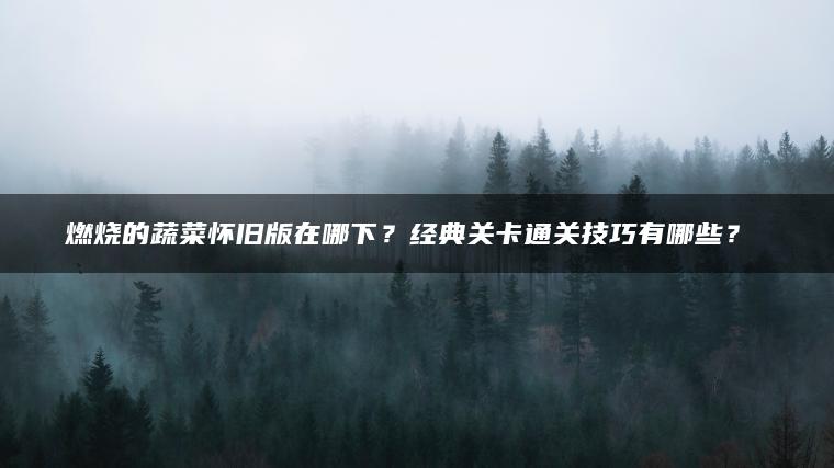 燃烧的蔬菜怀旧版在哪下？经典关卡通关技巧有哪些？​​