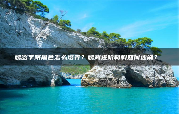魂器学院角色怎么培养？魂武进阶材料如何速刷？​​