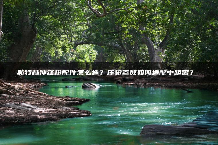 斯特林冲锋枪配件怎么选？压枪参数如何适配中距离？​​