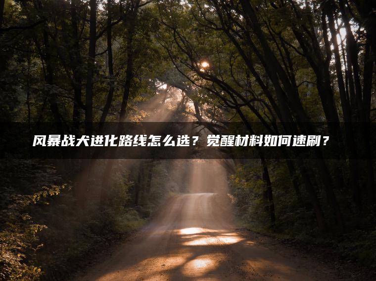 风暴战犬进化路线怎么选？觉醒材料如何速刷？​​