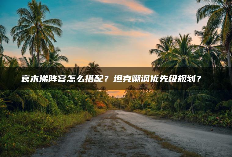 哀木涕阵容怎么搭配？坦克嘲讽优先级规划？​​