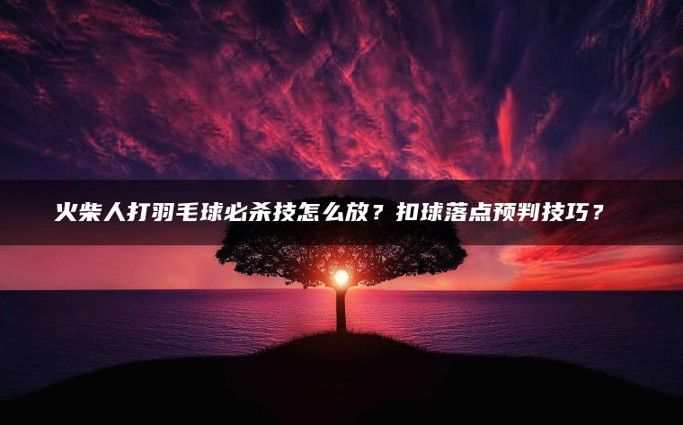 火柴人打羽毛球必杀技怎么放？扣球落点预判技巧？​​